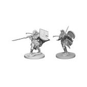 Pathfinder Deep Cuts: Human Female Paladin