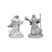 Nolzur's Human Female Wizard