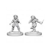 Nolzur's Halfling Female Rogue