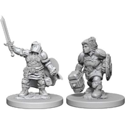Nolzur's Dwarf Female Paladin