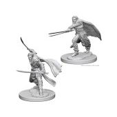 Nolzur's Elf Male Ranger