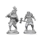 Nolzur's Human Male Barbarian