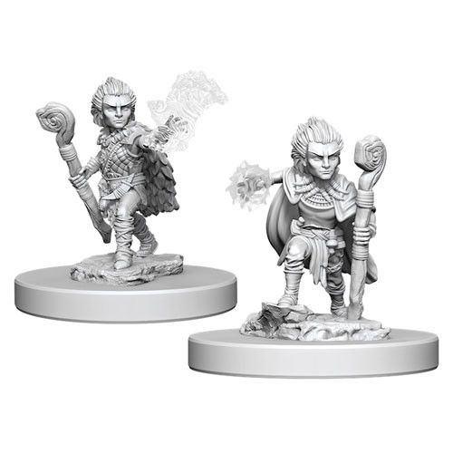 PATHFINDER: MALE GNOME DRUID