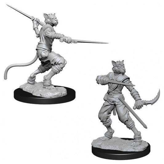 Nolzur's Male Tabaxi Rogue