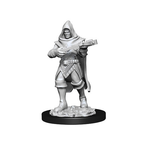 PATHFINDER: HUMAN ROGUE MALE