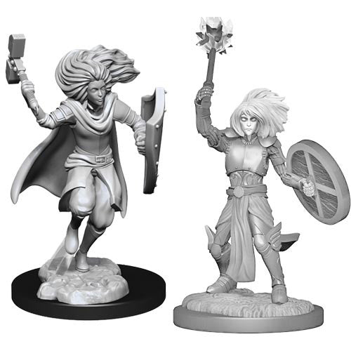 D&D NOLZUR'S MALE CHANGELING CLERIC