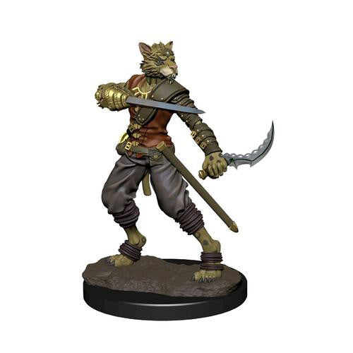 D&D PREMIUM TABAXI MALE ROGUE