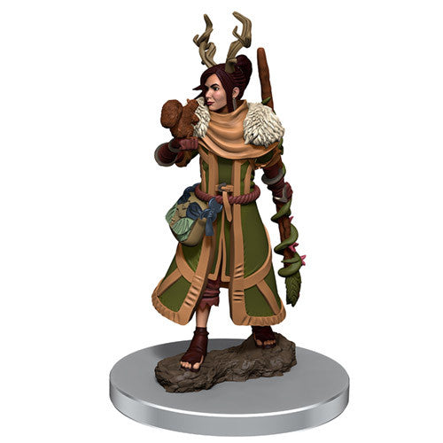 D&D PREMIUM HUMAN DRUID FEMALE